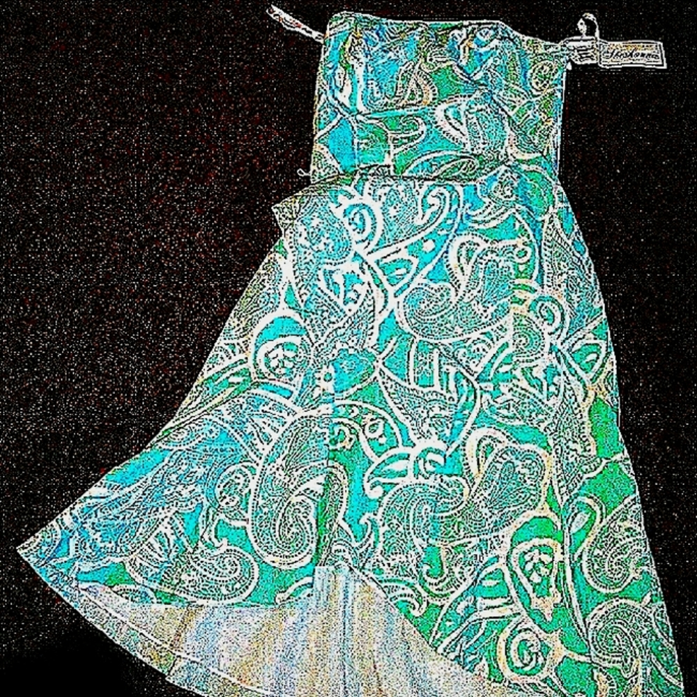 Shoshanna paisley strapless dress Nwt